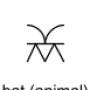 bat-animal.jpg