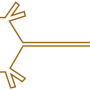 multipolar_neuron.png