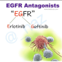 egfr_antagonist_mnemx.png